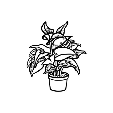 Plants n pots Australia - Home | Facebook