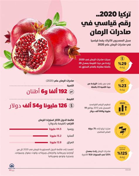 فوائد الرمان متعددة تعرف على 9 منها صحة الجزيرة نت