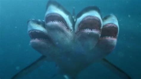 Film 5 Headed Shark Attack 2017 Dark Side Reviews