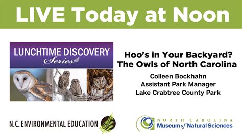 Lunchtime Discovery Hoo S In Your Backyard The Owls Of North Carolina