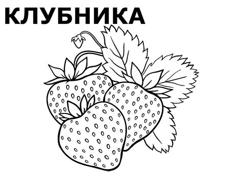 Раскраски Ягод распечатать или скачать бесплатно в формате PDF.
