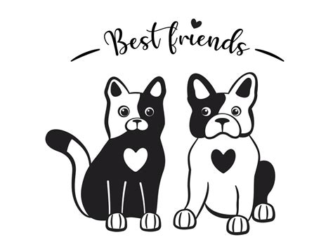 Gato Y Perro Juntos Son Mejores Amigos Amistad De Dos Lindos