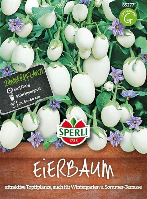 Sperli Ehető gyümölcsök padlizsán 1 csomag Bloomling Online Shop