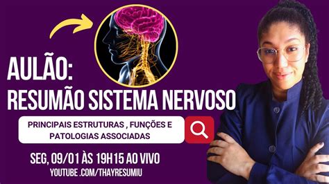 Aulão Resumão Do Sistema Nervoso Youtube