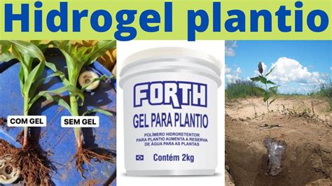 Gel De Plantio Fim Da Terra Seca Plante Sem Irriga O Youtube