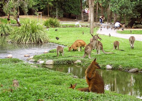 Habitat Nedir Habitat Parçalanması Nedir Habitat Çeşitleri Nelerdir