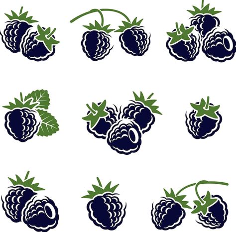 Premium Vector Blackberry Set Vector