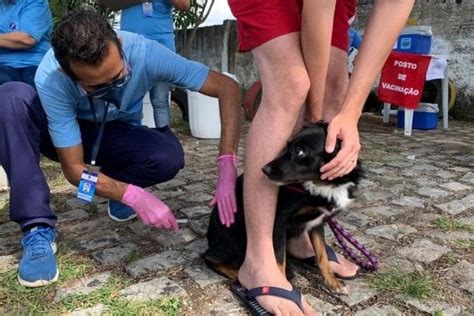 Natal Realiza Dia D De Vacina O Antirr Bica Neste S Bado