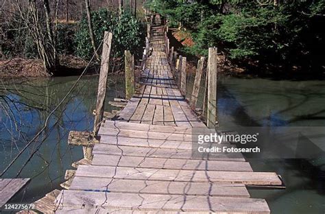 615 North Creek Bridge Stock Photos, High-Res Pictures, and Images - Getty Images