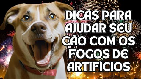 Fogos de artifícios SEU CÃO TEM MEDO SAIBA O QUE FAZER YouTube