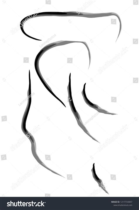 Sketche Of Woman Face Royalty Free Stock Vector 1217733847 Avopix