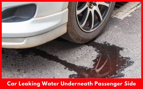 Car Leaking Water Underneath Passenger Side