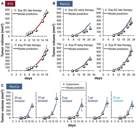 Il Induced Antitumor Effects Model Simulations Retrospectively