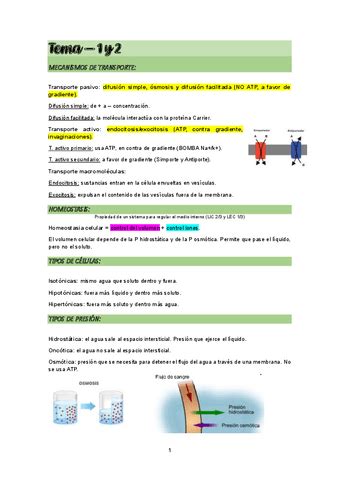 Fisiologia Resumen Todos Los Temas Pdf