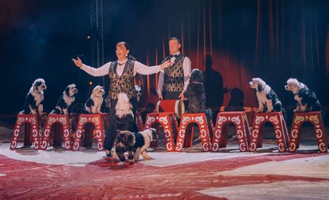 Recensie Noord Hollands Wintercircus Crew Heeft Er Samen Wat Leuks