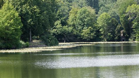 Les Tangs De Corot Ville Davray En Danger Sites Monuments