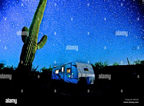 Star filled night sky with saguaro cactus over Organ Pipe Cactus ...