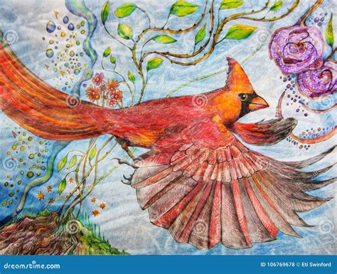 Color Pencil Painting of a Male Cardinal in Flight Stock Illustration ...