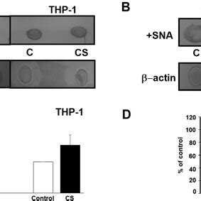 Figure . Detection of neuraminidase activity using the Amplex Red ...