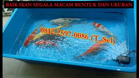 Call 0812 2597 0086 T Sel Bak Ikan Fiberglass YouTube