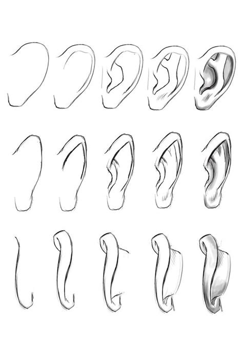 How To Draw Realistic Ears