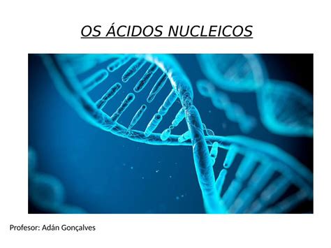 Pdf Base Qu Mica Da Vida V Cidos Nucleicos Dokumen Tips