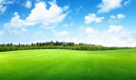 Sky and Grass Wallpapers - Top Free Sky and Grass Backgrounds ...