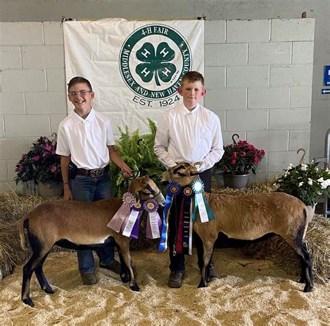 Middlesex County | UConn Extension 4-H