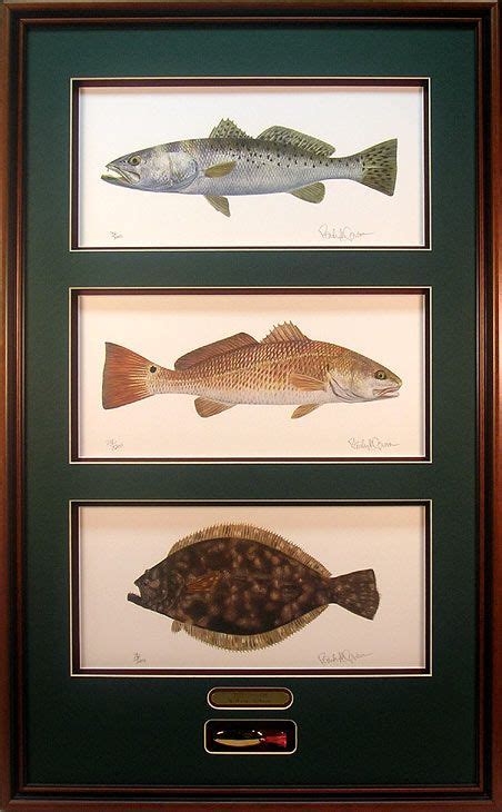 Texas Slam Fish Artwork Fish Wall Art Fish Art