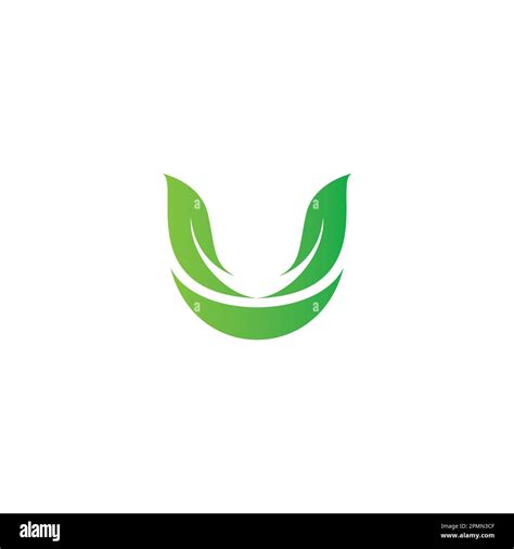 Letter U Leaf Logo Vector Illustration U Leaf Icon Nature Organic