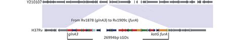 Characterization Of Mutations In Genes Related To Rifampicin And Isoniazid Resistance In