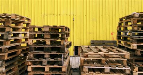 Places To Find Free Pallets Near You Discovering Employment Paths