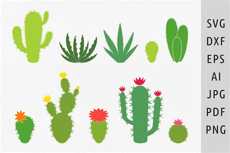 Cactus Svg Bundle Succulent Svg Desert Graphic By Julia S Digital