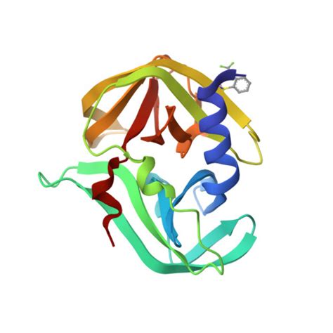 RCSB PDB 7GP0 PanDDA Analysis Group Deposition Crystal Structure