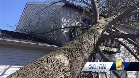 Strong Winds Cause Power Outages Downed Limbs Youtube