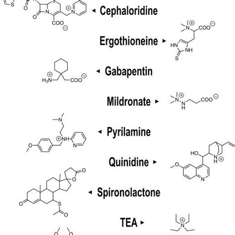 Compound structures. | Download Scientific Diagram