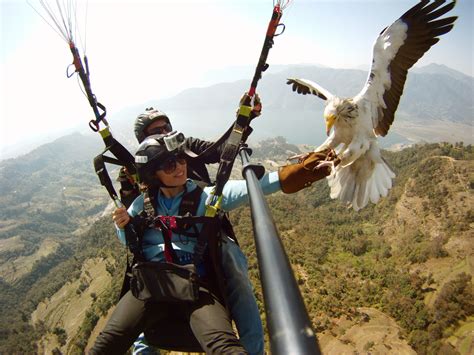 Paragliding Phewa Lake Pokhara Nepal