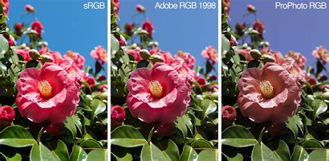 Srgb Vs Adobe Rgb Vs Prophoto Rgb Och Srgb Xenenglishs Diary