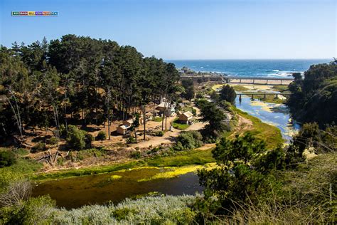 Humedal Quebrada de Córdova El Tabo Litoral Poeta y de las Artes