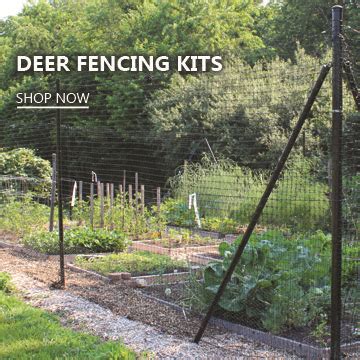 Deer Fence Installation | Deer fence, Diy garden fence, Aqua farm