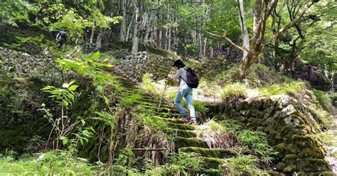 幻想的すぎる絶景！？ 緑に飲み込まれた幻の廃村を探す（東京都・倉沢集落）｜『アルフソン』（旧『退屈の壊し方』）