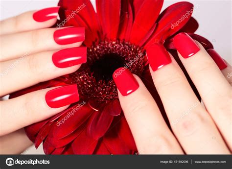 Beauty Hands With Red Fashion Manicure And Bright Flower Beautiful