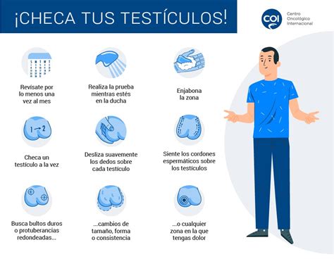 ¿cómo Prevenir El Cáncer De Testículo