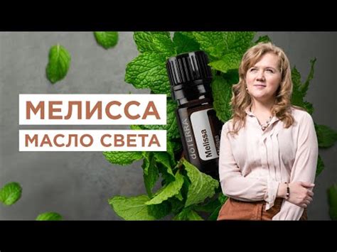 Эфирное масло мелиссы - YouTube