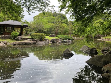 栃木県中央公園 ― 伊藤邦衛作庭…栃木県宇都宮市の庭園。 庭園情報メディア【おにわさん】