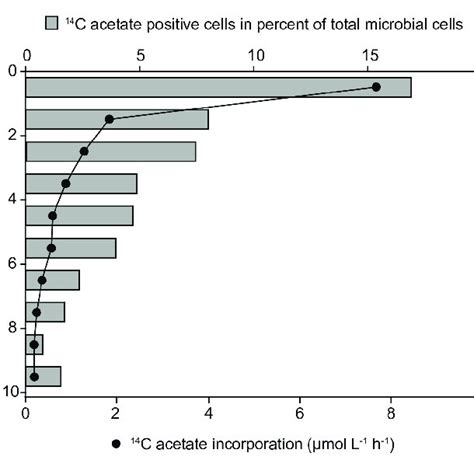 Bulk 14 C Carbon Assimilation And Relative Abundance Of 14