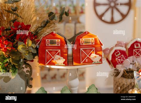 The birthday party decorations for a one-year-old Stock Photo - Alamy