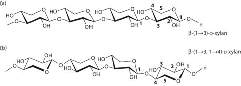 16 Structure of xylan with linkage. | Download Scientific Diagram