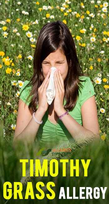 Timothy Grass Allergy Allergy Symptoms