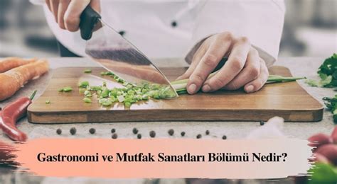 Gastronomi Ve Mutfak Sanatları Bölümü Ab Proje Yönetimi